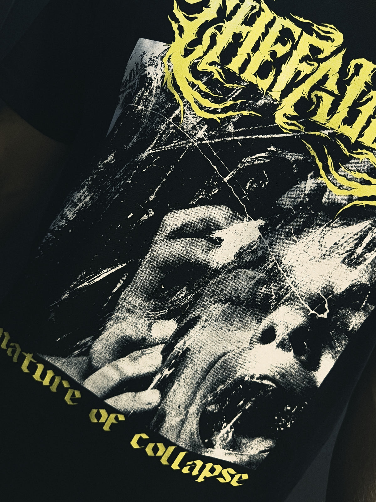 THEFALLS 'Nature Of Collapse' t-shirt